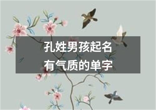 孔姓男孩起名有气质的单字