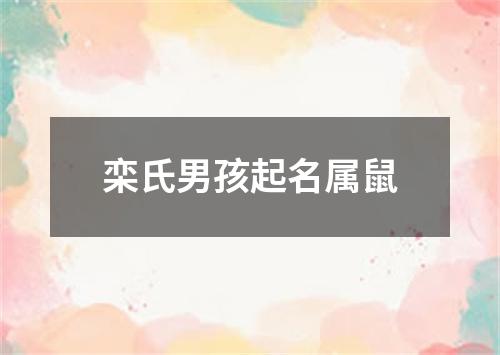 栾氏男孩起名属鼠