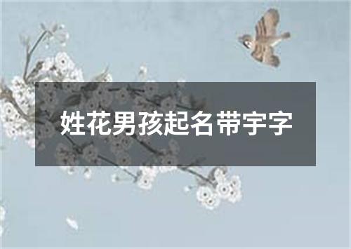 姓花男孩起名带宇字