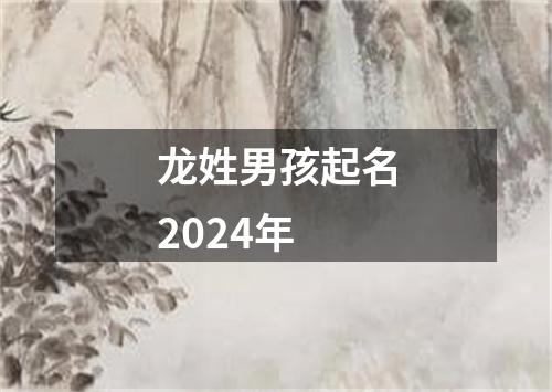 龙姓男孩起名2024年