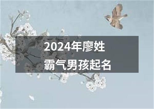 2024年廖姓霸气男孩起名