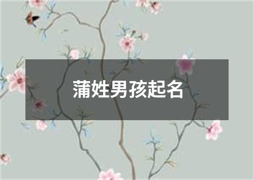 蒲姓男孩起名