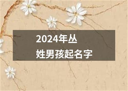 2024年丛姓男孩起名字