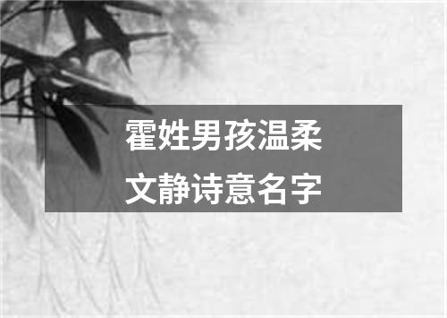 霍姓男孩温柔文静诗意名字