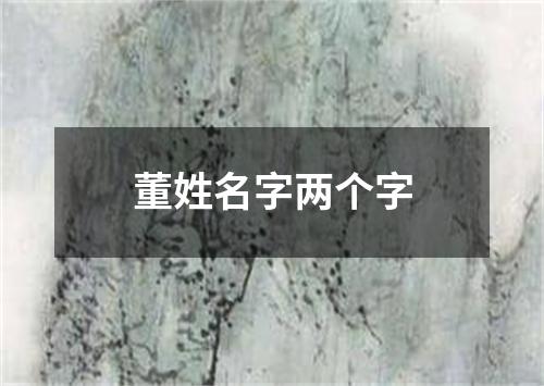 董姓名字两个字