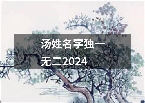 汤姓名字独一无二2024