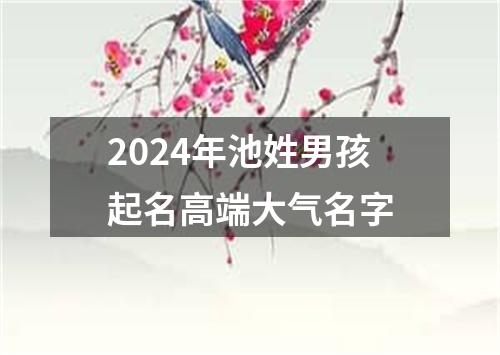 2024年池姓男孩起名高端大气名字