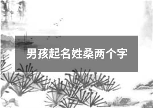 男孩起名姓桑两个字