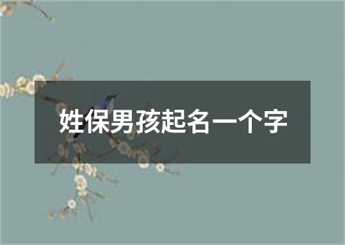 姓保男孩起名一个字