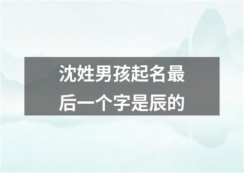 沈姓男孩起名最后一个字是辰的