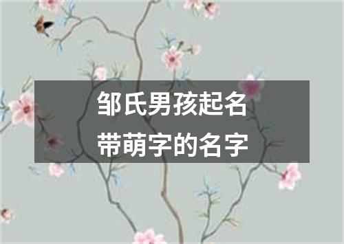 邹氏男孩起名带萌字的名字