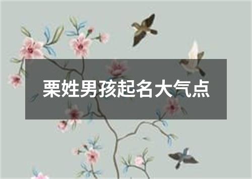 栗姓男孩起名大气点