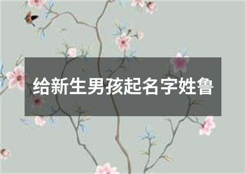 给新生男孩起名字姓鲁