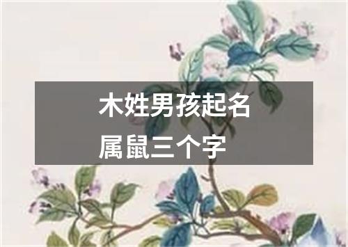 木姓男孩起名属鼠三个字