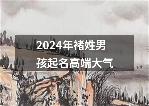 2024年褚姓男孩起名高端大气