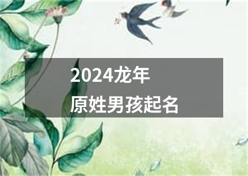 2024龙年原姓男孩起名