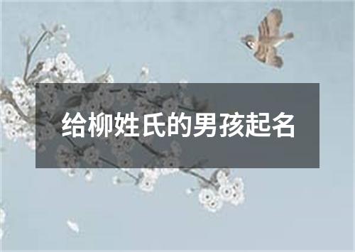 给柳姓氏的男孩起名