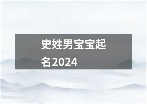 史姓男宝宝起名2024