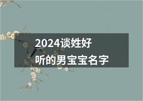 2024谈姓好听的男宝宝名字