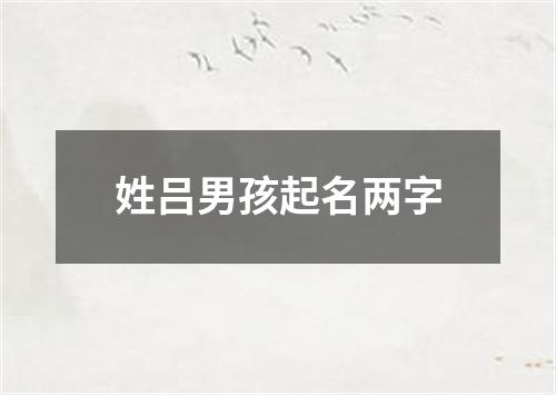 姓吕男孩起名两字