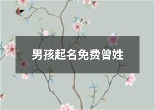 男孩起名免费曾姓