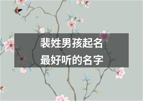 裴姓男孩起名最好听的名字