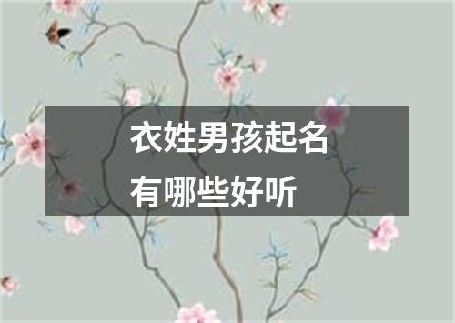 衣姓男孩起名有哪些好听