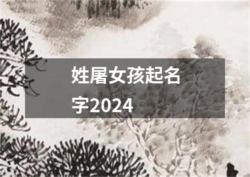 姓屠女孩起名字2024