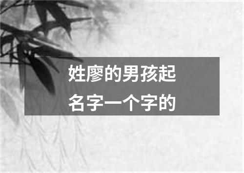 姓廖的男孩起名字一个字的