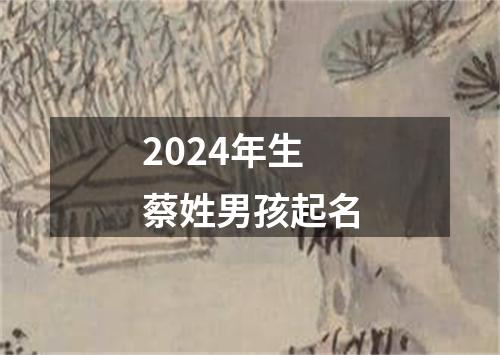 2024年生蔡姓男孩起名