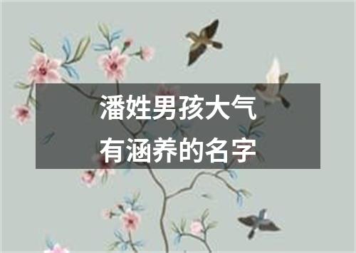 潘姓男孩大气有涵养的名字