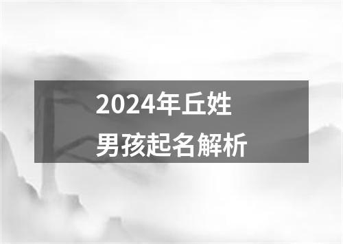 2024年丘姓男孩起名解析