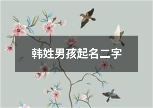 韩姓男孩起名二字