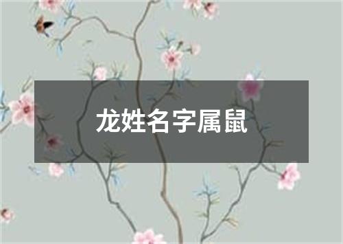 龙姓名字属鼠