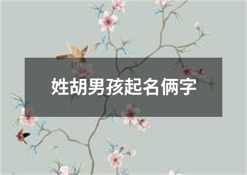 姓胡男孩起名俩字