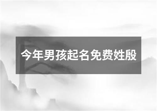 今年男孩起名免费姓殷