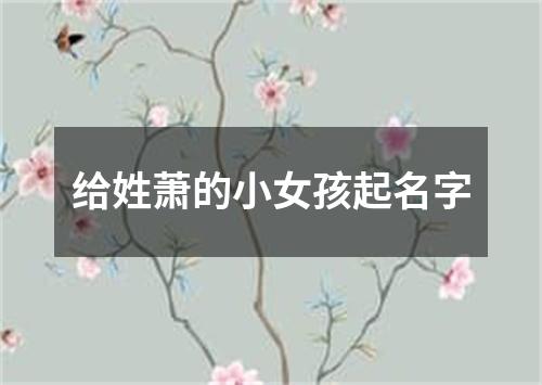 给姓萧的小女孩起名字