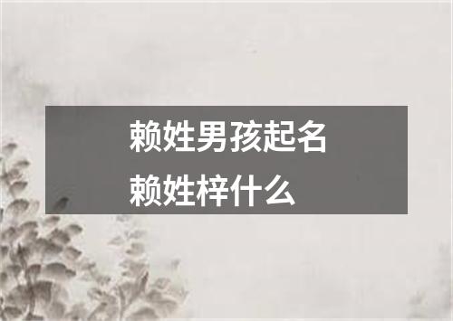 赖姓男孩起名赖姓梓什么