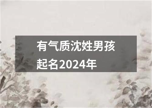 有气质沈姓男孩起名2024年