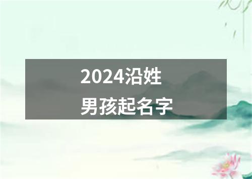 2024沿姓男孩起名字