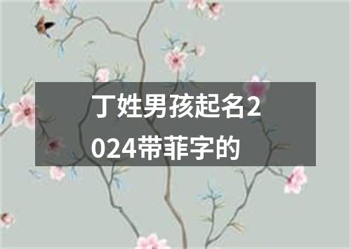 丁姓男孩起名2024带菲字的