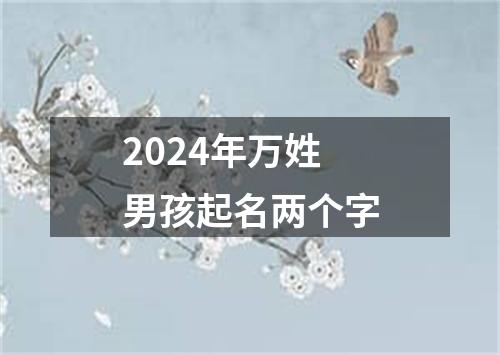 2024年万姓男孩起名两个字