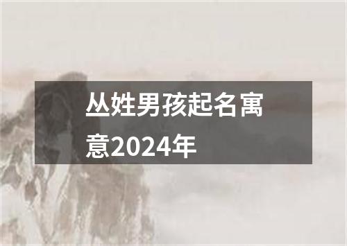 丛姓男孩起名寓意2024年