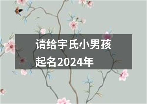 请给宇氏小男孩起名2024年