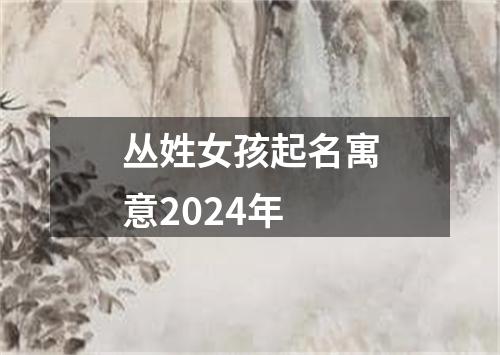 丛姓女孩起名寓意2024年