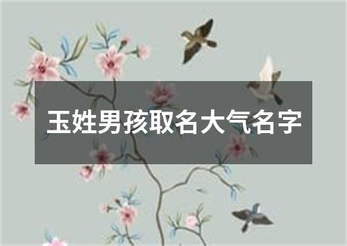 玉姓男孩取名大气名字