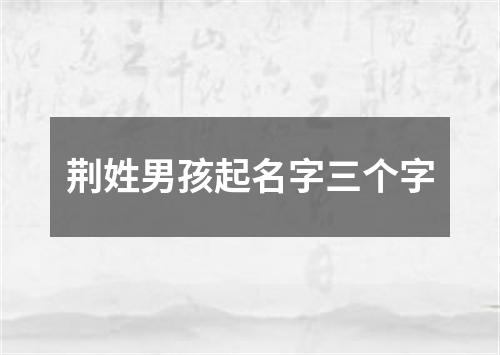 荆姓男孩起名字三个字