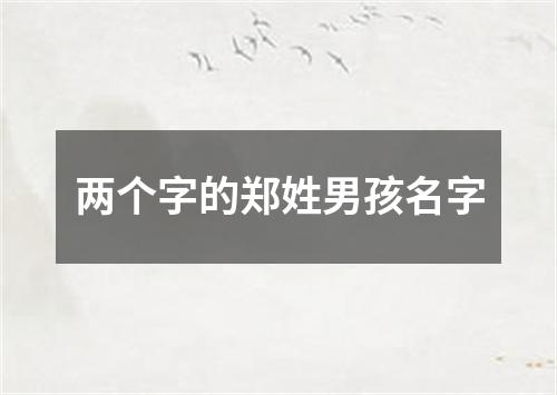 两个字的郑姓男孩名字