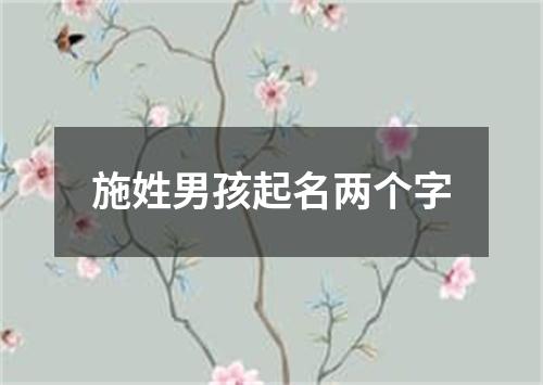 施姓男孩起名两个字