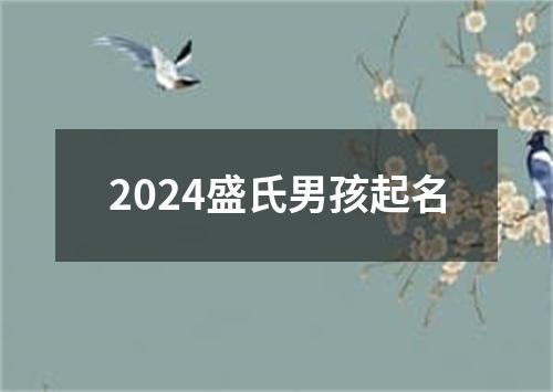 2024盛氏男孩起名